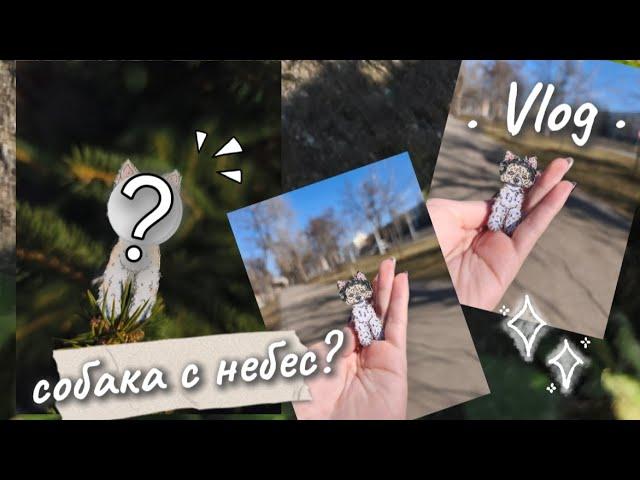 Собака с небес? Или с потолка? Новая бумажная собака?🫨 Еффи в шоке. Vlog. Role play.