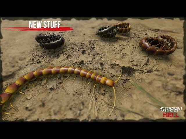 Everything You Need To Know About Centipedes In Green Hell!