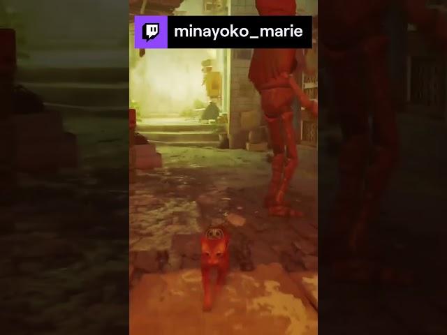 yoko being a cat menace | minayoko_marie on #Twitch #stray #orangecatbehavior #videogames