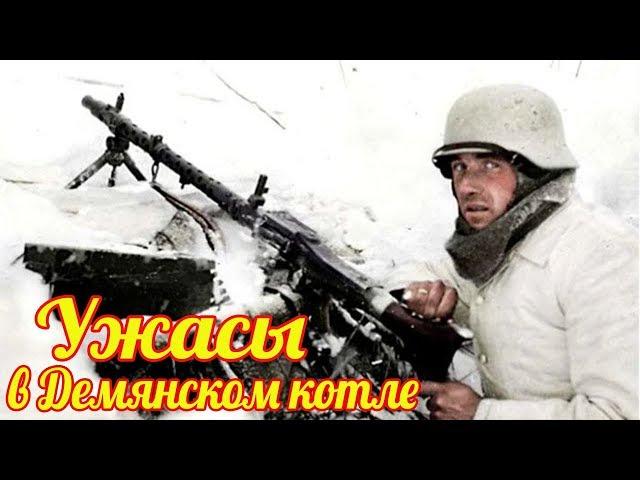 Дивизия СС "Тотенкопф" зима 1942 г. в "Демянском котле" на грани безумия и уничтожения.