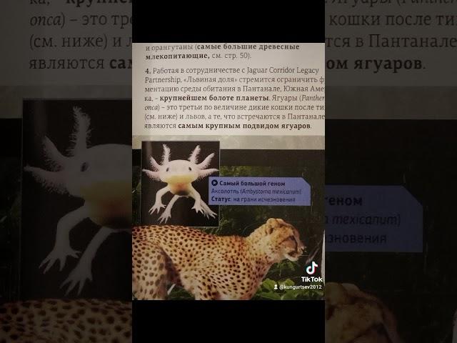 5 ноября 2021 г.
