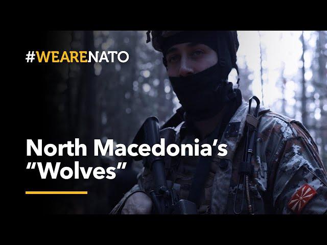  North Macedonia's Special Operations Battalion "The Wolves" | #WeAreNATO