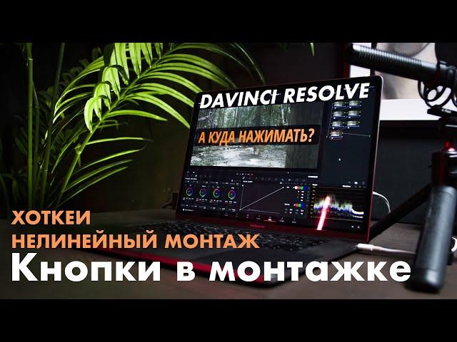 Видеомонтаж в Davinci Resolve | Инструменты и горячие клавиши