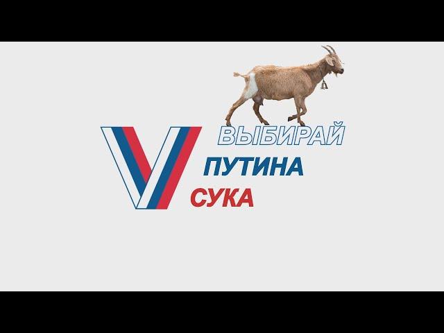 Честные выборы Путина RYTP