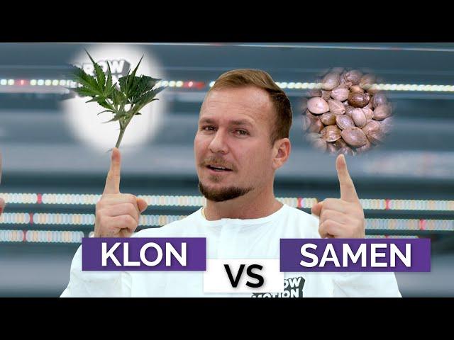 Clone vs. Samen | Growmotion