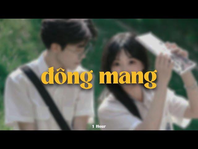 Đông Mang (1 Hour) - Phúc Chinh x Quanvrox「Lofi Ver.」/ Official Lyrics Video