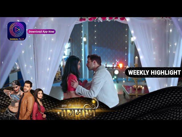 रूपा और देव के रिश्ते की शुरवात ! | Ishq Ki Dastaan Naagmani | Weekly Highlights | Dangal TV