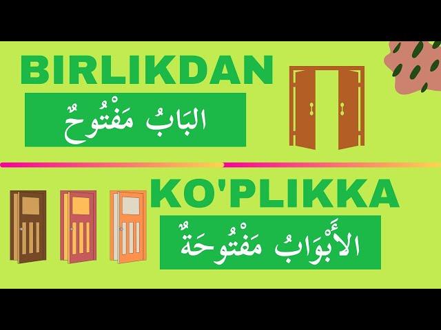 Birlik va Ko'plik Gaplarga Misollar O'qiymiz | 1-Kitob | 16-17 darslar asosida | ARAB TILI DARSLARI