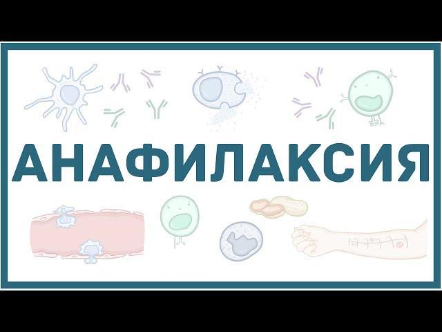 Анафилактическая реакция - механизм, эффекты, первая помощь