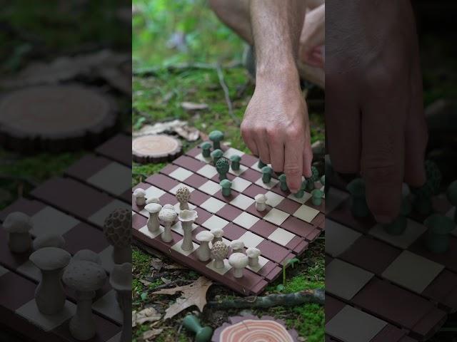 A log that’s actually a chess board?