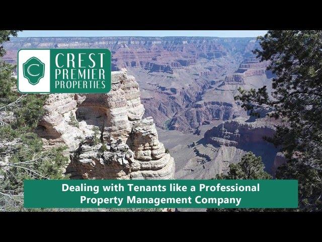 Dealing with Tenants Like a Professional Tempe Property Management Company