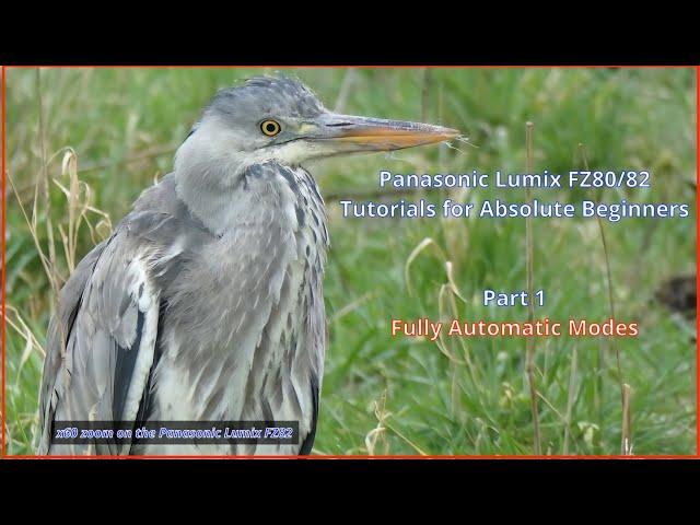 Panasonic Lumix FZ80/82 For Absolute Beginners:  Part 1 Using the Fully Automatic Modes.