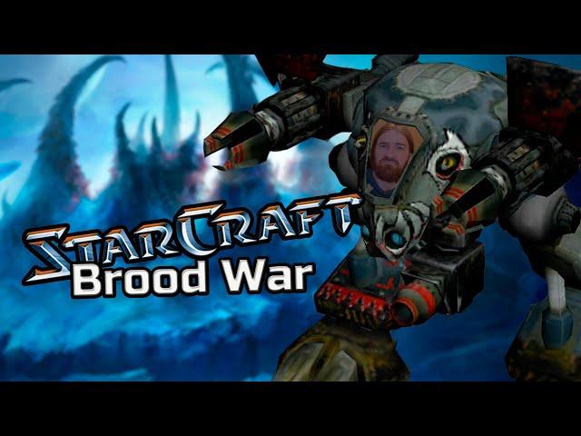 StarCraft: Brood War. Терраны. 5 ноябрь 2024