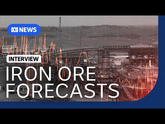 Where is the iron ore price headed? | The Business | ABC News