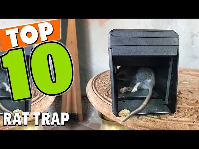 Best Rat Trap In 2024 - Top 10 Rat Traps Review