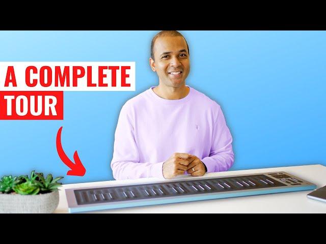 SEABOARD RISE 2 - Everything you want to know