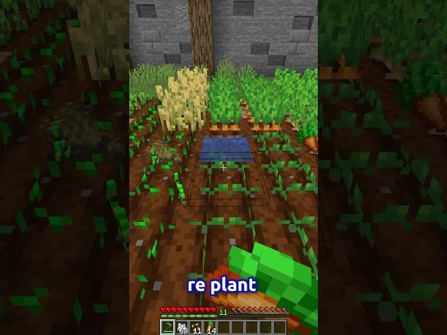 An INSANE Farming Mod