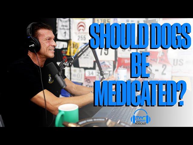 SHOULD DOGS BE MEDICATED? || Ivan Balabanov and Aimee Sadler on the TWC Podcast