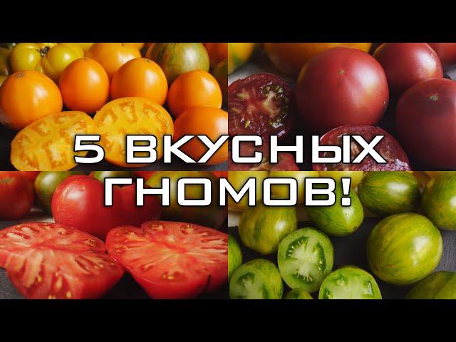 ТОМАТЫ ГНОМЫ. ОБЗОР ВКУСНЫХ СОРТОВ!