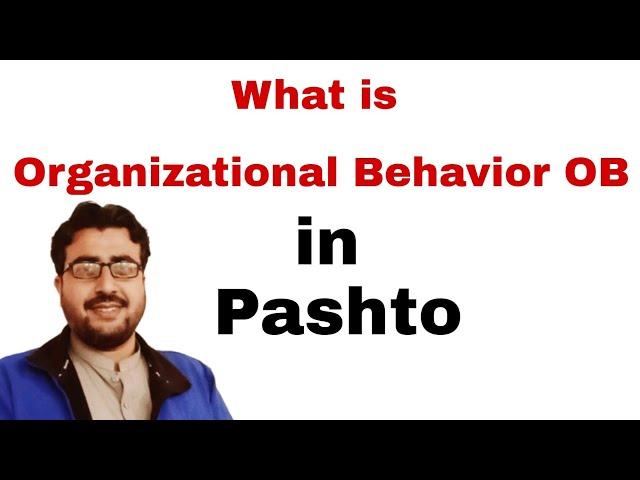 What is Organizational Behavior OB in Pashto?