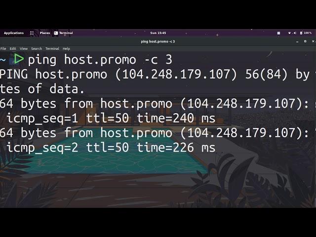 ‍ PING COMMAND ON UBUNTU / LINUX ‍ TIPS AND TRICKS