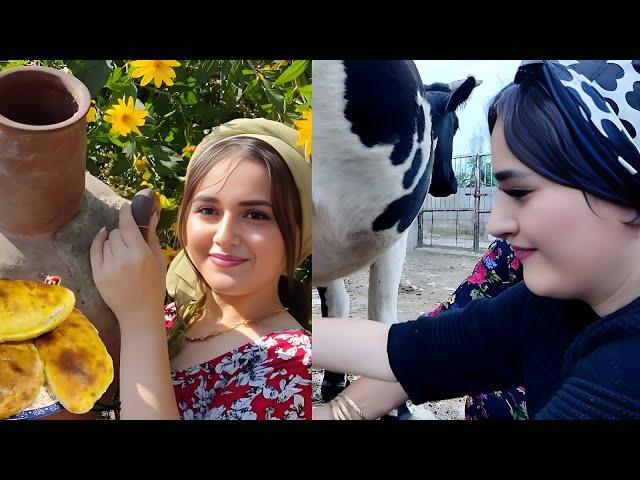 Nomadic Lifestyle in Iran’s Villages: Milking Cows & Making Cottage Cheese, Butter, and FlatBread