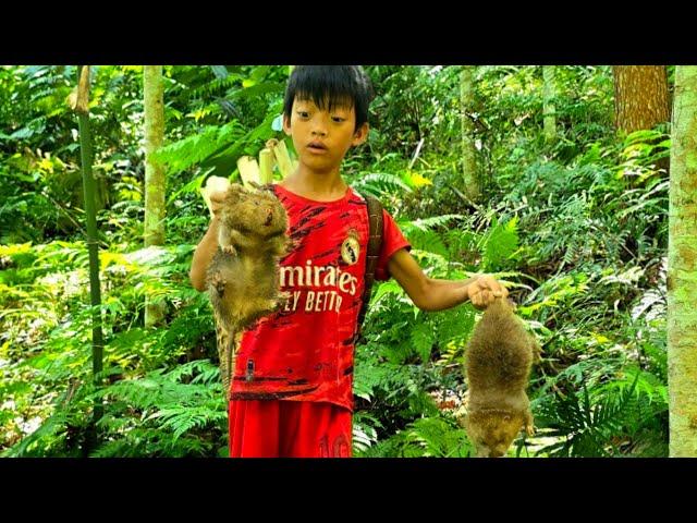 Bac's survival skills, the technique of catching bamboo rats in the forest, forest banana harvest.