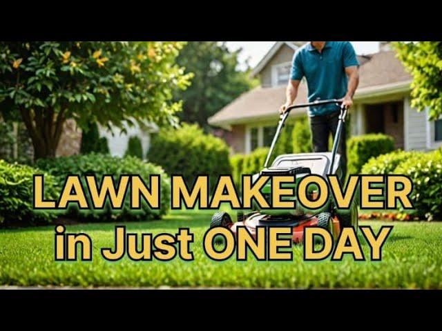 LAWN MAKEOVER In Just ONE DAY!