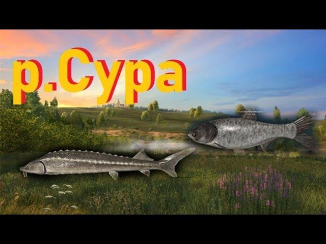 р. Сура - Где Ловить и что Клюет ? РР4