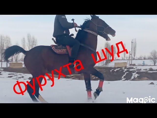 Фурухта шуд