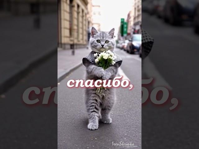 Милые котики. Эти цветы для тебя!