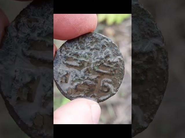 #noktasimplex #metaldetecting #2024 #find #metaldetector #находки #coin #монеты #apex #xp #копатыч