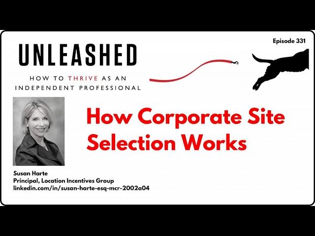 331. Susan Harte on how corporate site selection works