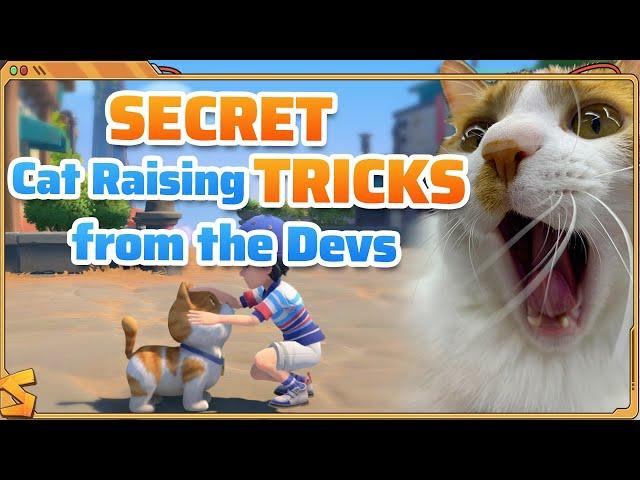 Secret Cat Raising Tricks From The Devs | My Time at Sandrock