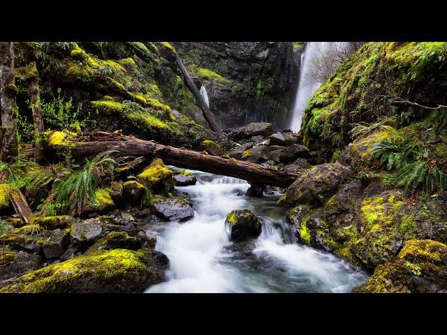 Nature Pill | Binaural Beats - Theta Waves | Peaceful Nature Sounds