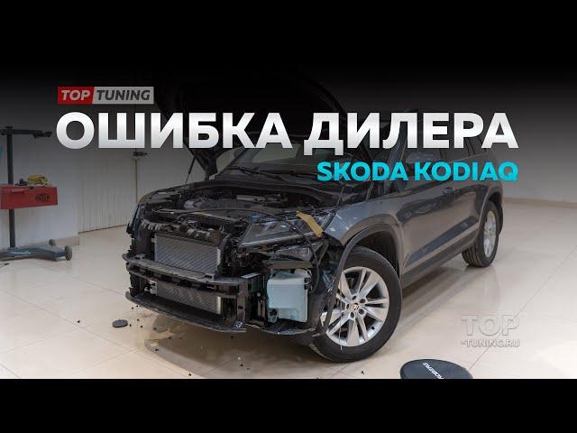 Skoda Kodiaq - ошибки при монтаже сетки в бампер