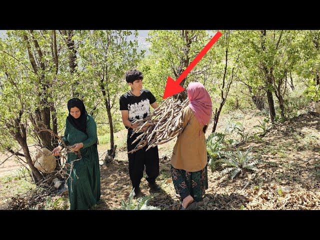 "Whispers of Love: Zeinab and Reza's Romantic Journey in the Mountains"️