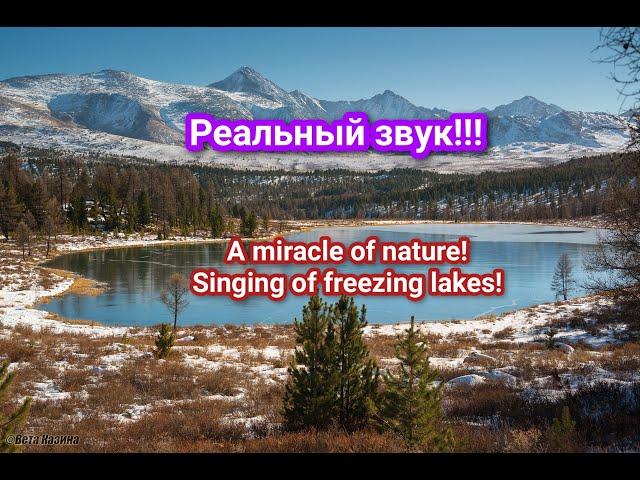 FANTASTIC SINGING OF LAKES‼️⠀Real sound‼️⠀