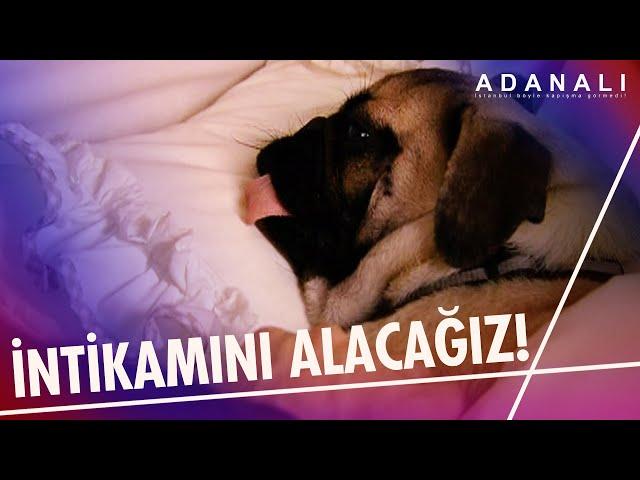 İntikamını alacağız Rıfkı! - Adanalı 7. Bölüm