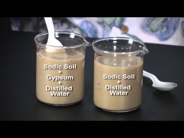 Visualizing Soil Properties: Dispersion and Flocculation