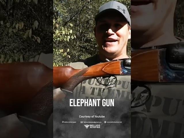 Elephant Gun #military #information #militer #fakta #viral #tnipolri #tni #militerindonesia