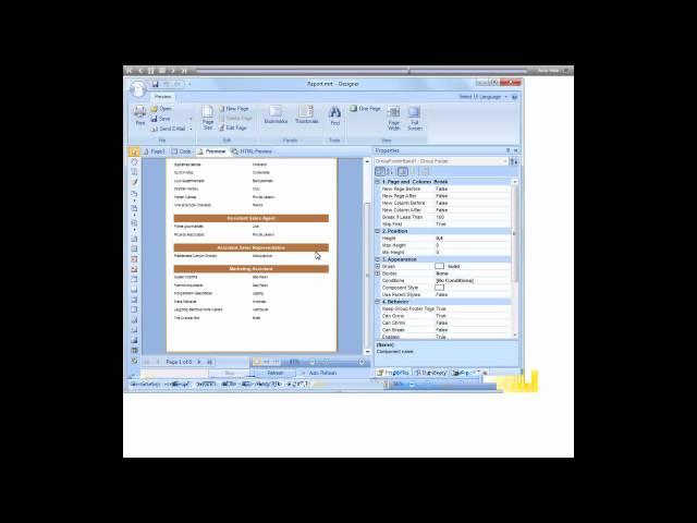 Creating Report with Cross-Primitives - Stimulsoft Reports - [Shot on version 2012.1]