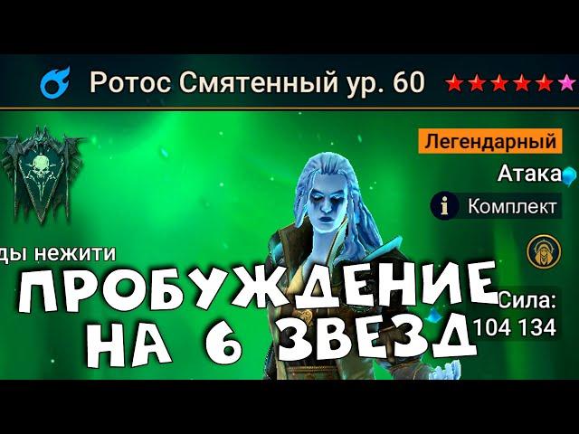 каких героев пробуждать на 6 звезд. 1 герой на 6 звезд в год. RAID shadow legends