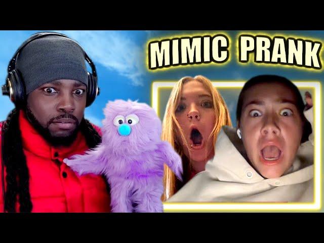 MIMICKING STRANGERS with my Puppet (Voice Trolling)