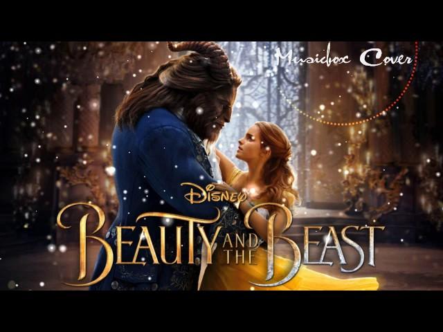 [Music box Cover] Beauty and the Beast - Disney song