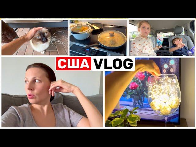 США Влог Утренний квест Вот зачем он мне дан! Моя Маленькая радость Big big family in the USA VLOG