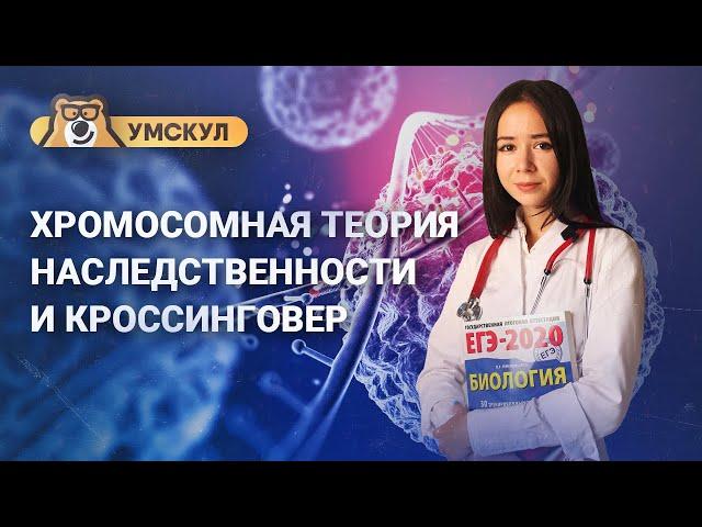 Хромосомная теория наследственности и кроссинговер | Биология ЕГЭ | Умскул