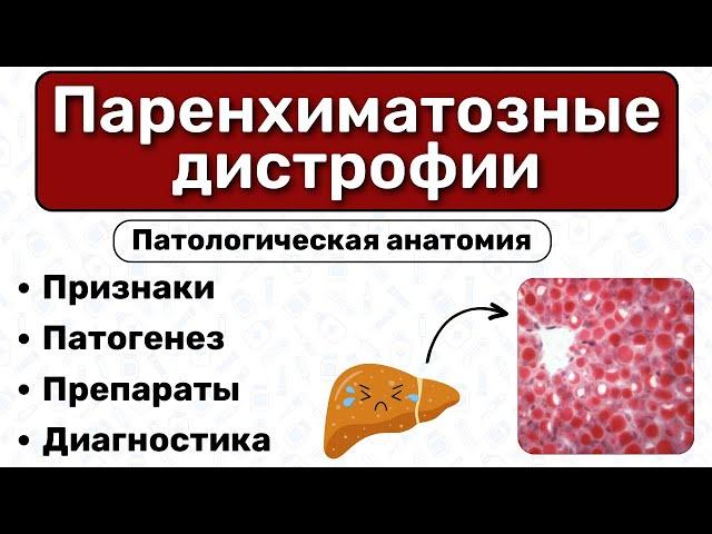 Паренхиматозная дистрофия: виды, патогенез, препараты / Патологическая анатомия