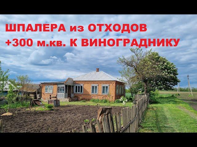 10. КУПИЛИ УСАДЬБУ, ВОССТАНАВЛИВАЕМ! Хватит экспериментов, работаем.