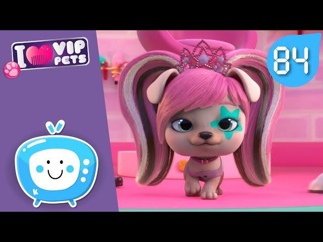 GLAMOUR VIP PETS  NEW Collection  Full Episodes  CARTOONS for KIDS in ENGLISH